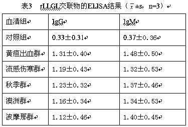 Preparation method of leptospira interrogans MAP vaccine