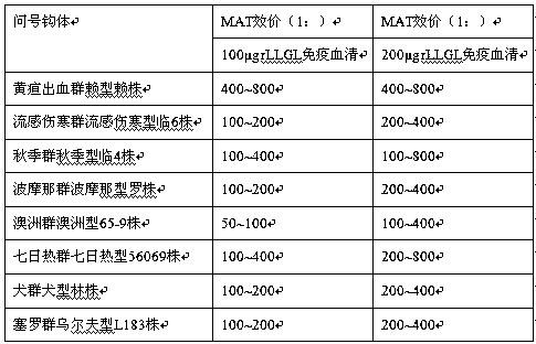 Preparation method of leptospira interrogans MAP vaccine