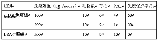 Preparation method of leptospira interrogans MAP vaccine