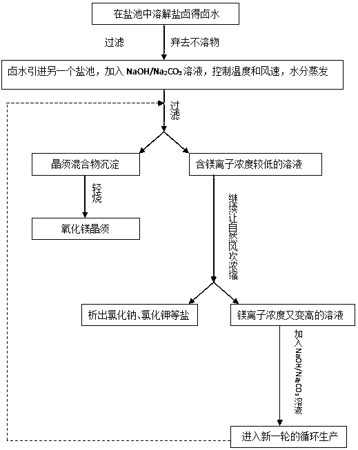 Method for producing magnesium oxide whiskers from bittern in dry salt lake