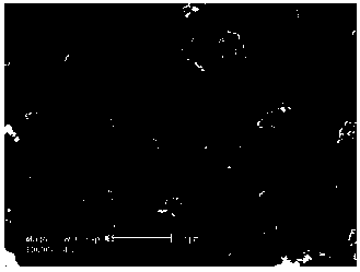 Method for producing magnesium oxide whiskers from bittern in dry salt lake