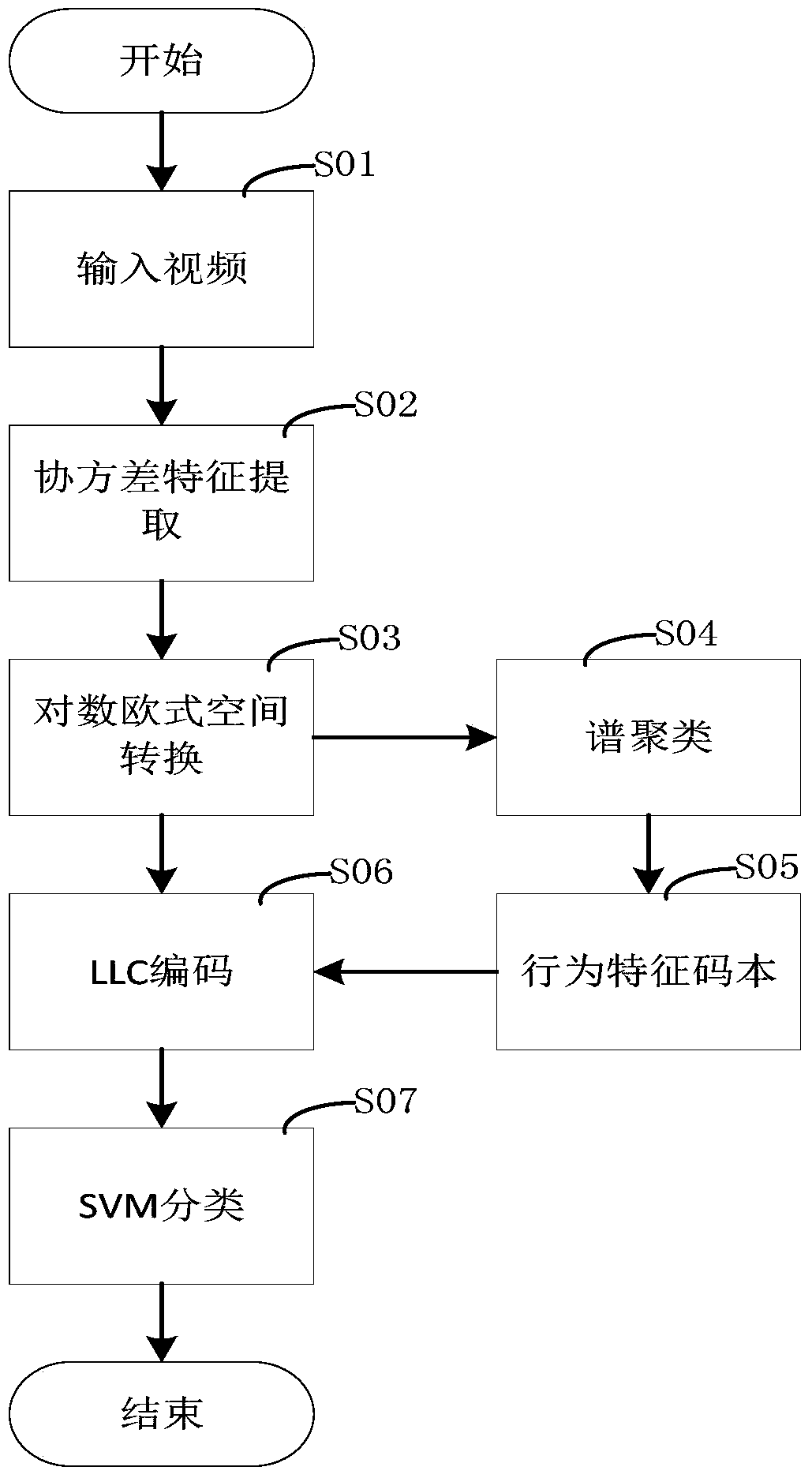 Human Behavior Recognition Based on Bag-of-Words Model in Logarithmic Euclidean Space