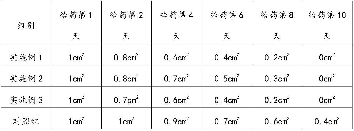 Traditional Chinese medicine composition for treating burn and scald and preparation method thereof