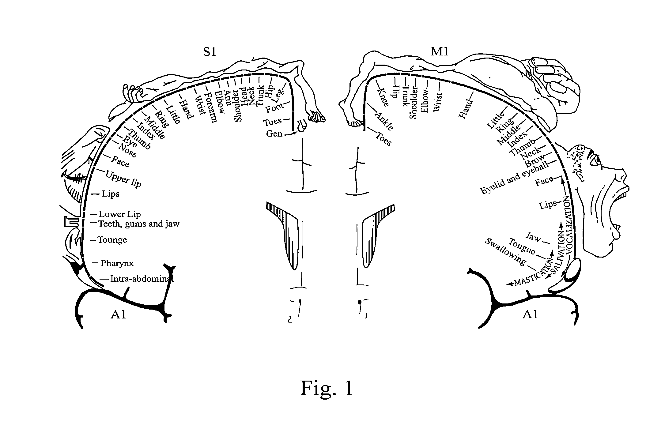 Brain imaging system and methods for direct prosthesis control