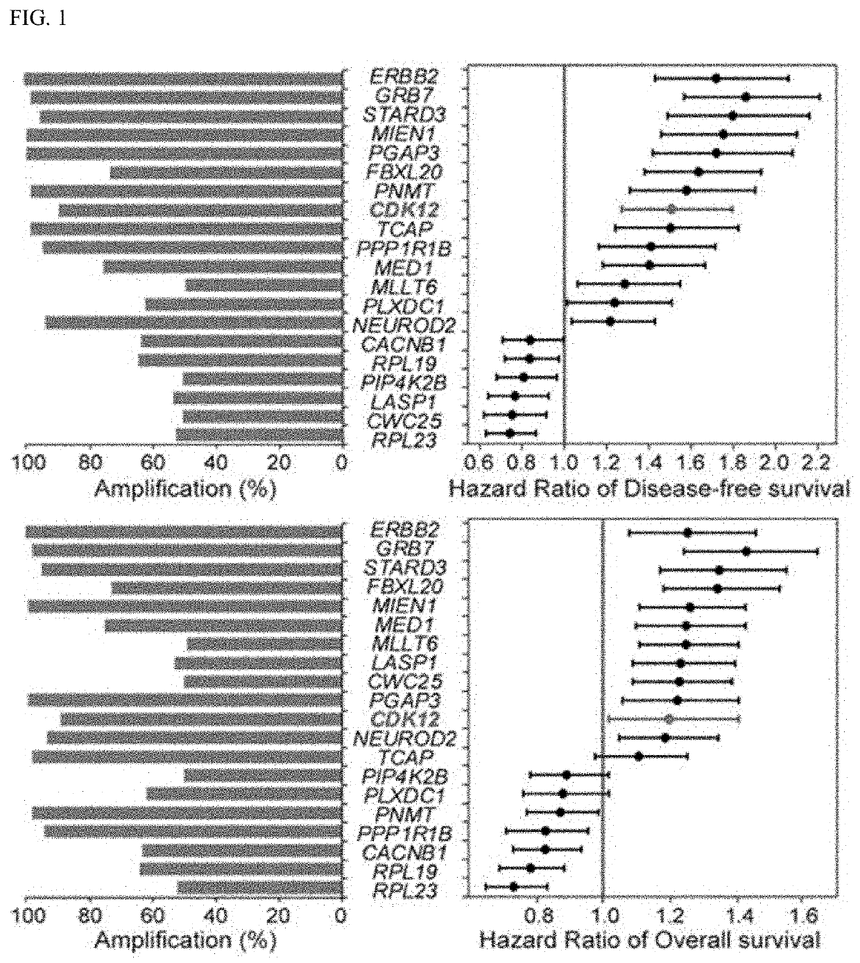 Companion diagnostic biomarker for Anti-her2 therapy and use thereof