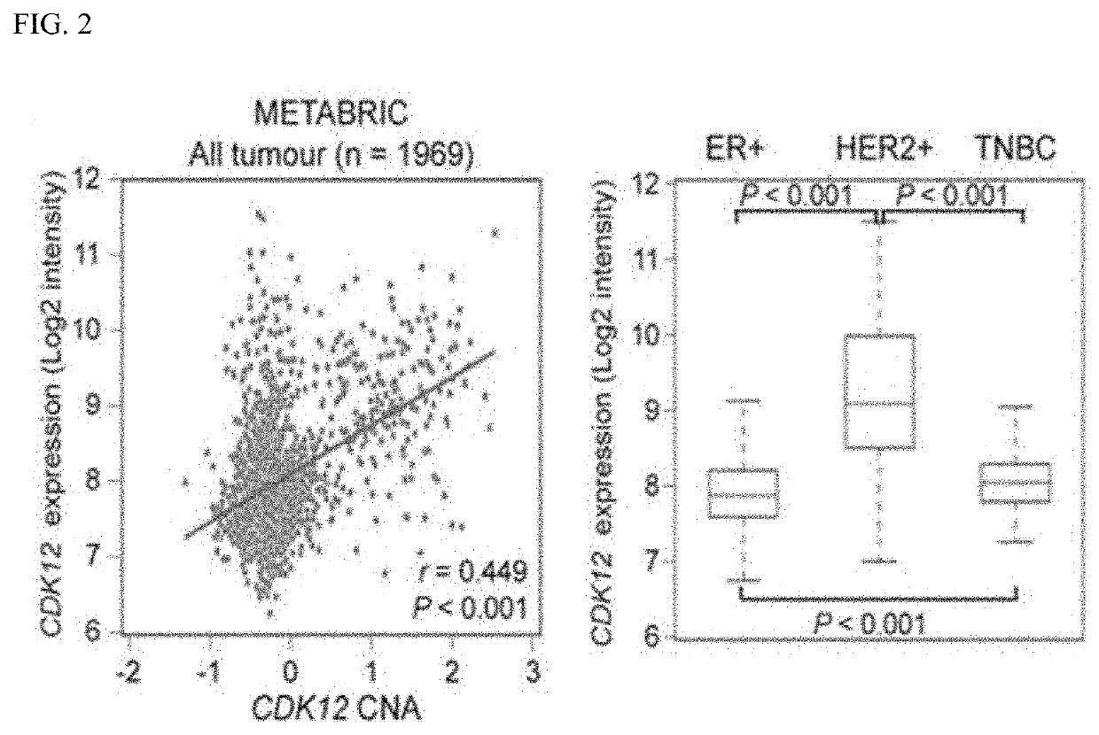 Companion diagnostic biomarker for Anti-her2 therapy and use thereof