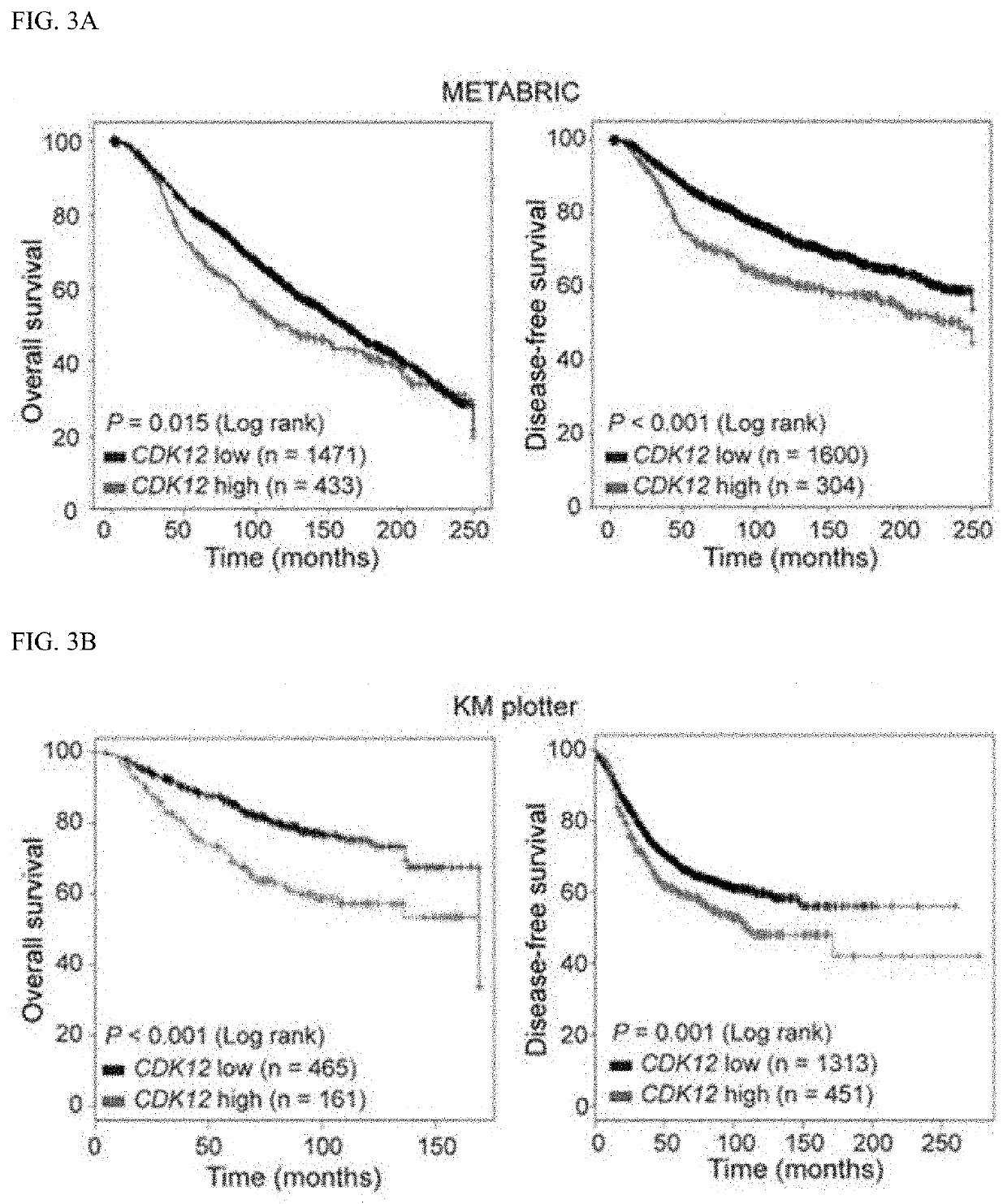 Companion diagnostic biomarker for Anti-her2 therapy and use thereof