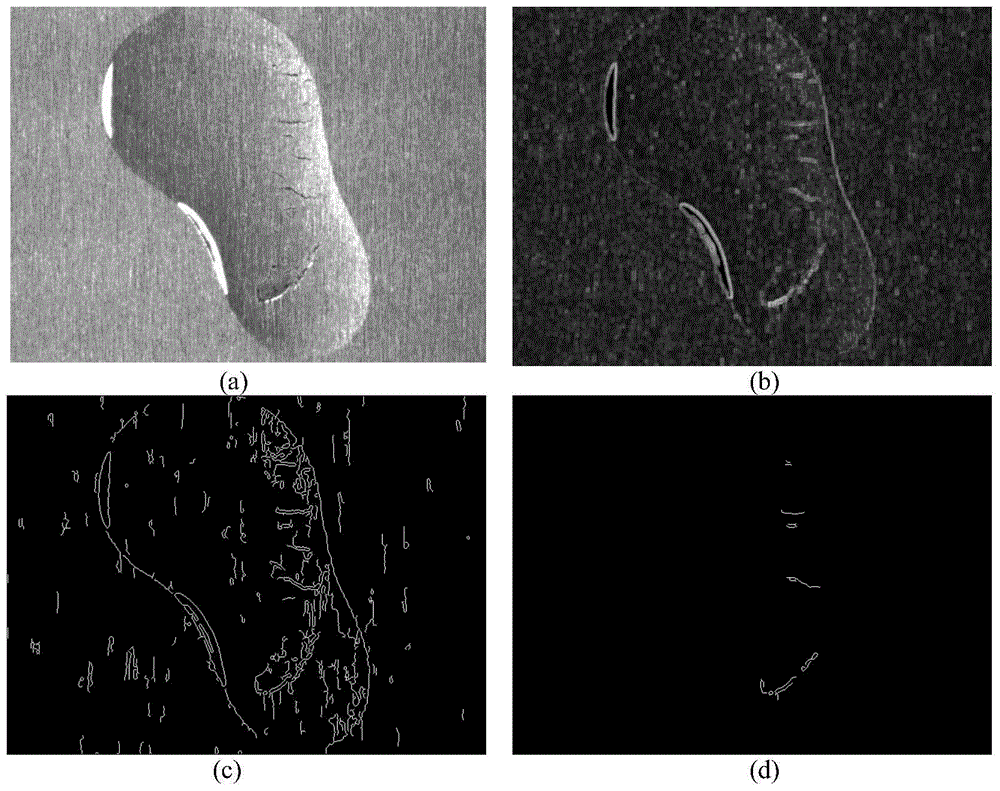 An image detection method for surface defects of silicon steel plate under the interference of oil pollution