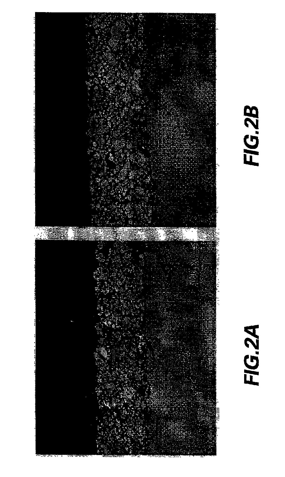 Compositions and methods for producing coatings with improved surface smoothness and articles having such coatings