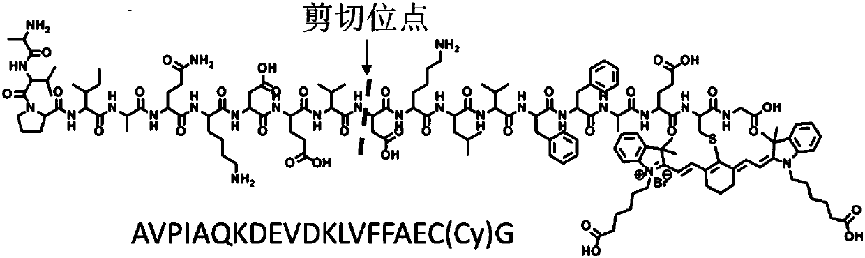 Drug delivery system, and preparation method and application thereof