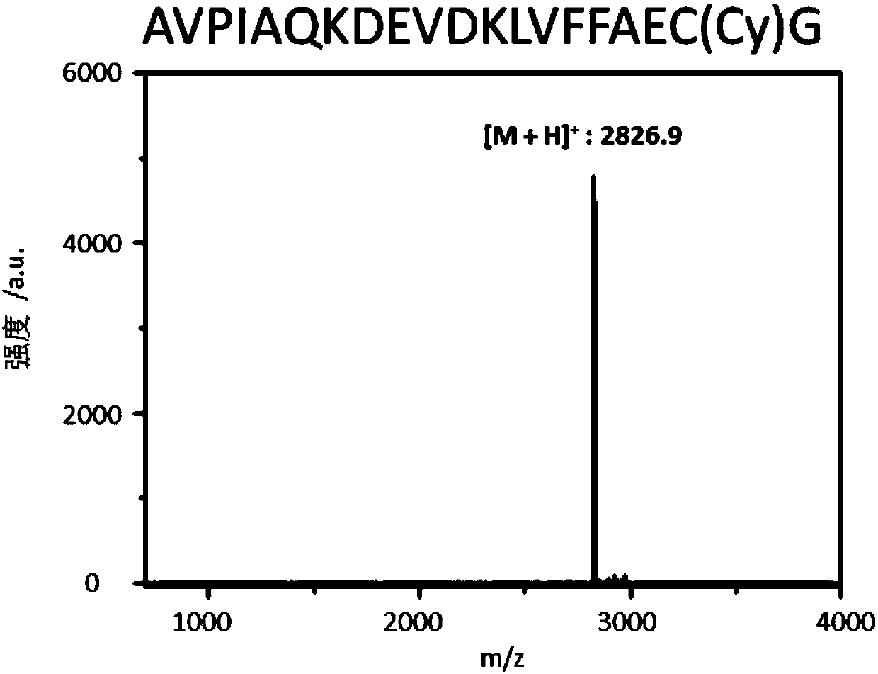 Drug delivery system, and preparation method and application thereof