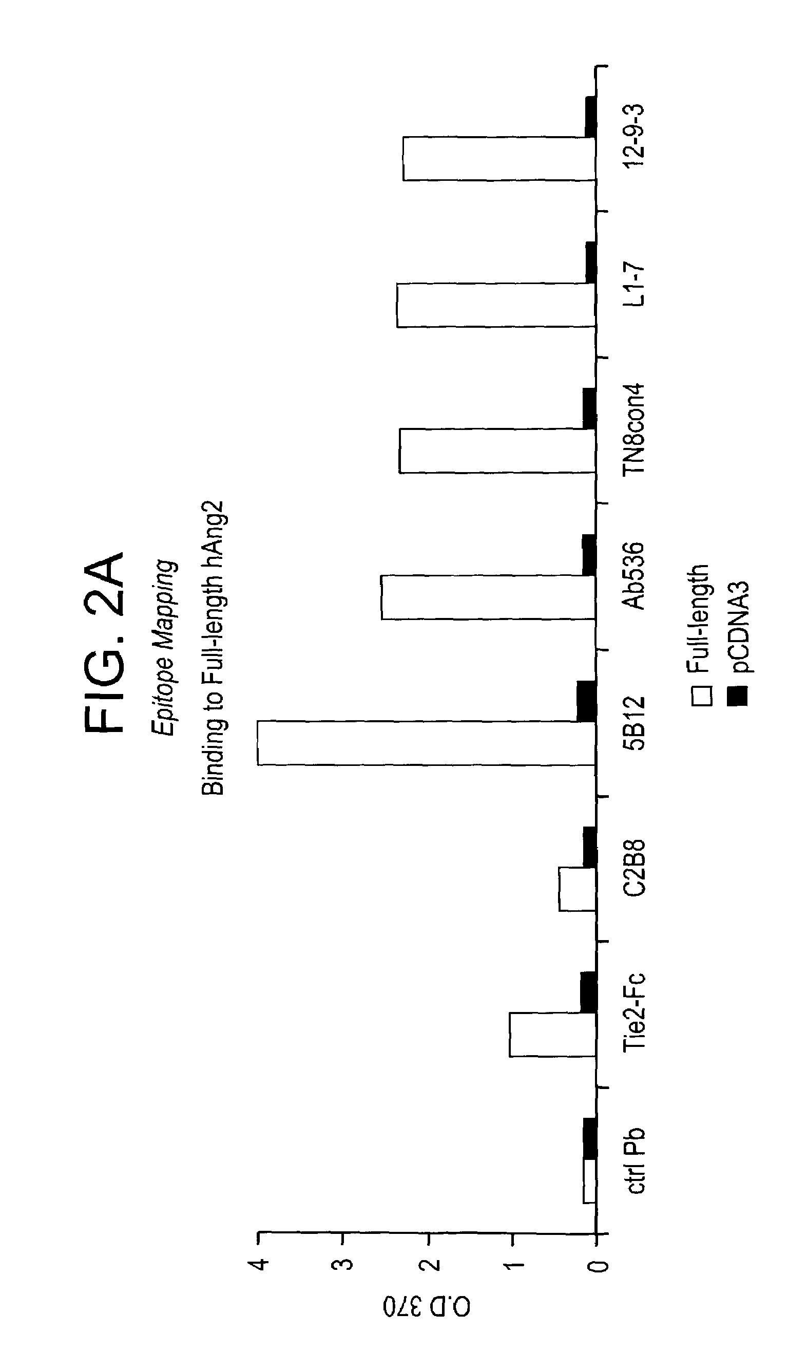 Angiopoietin-2 specific binding agents