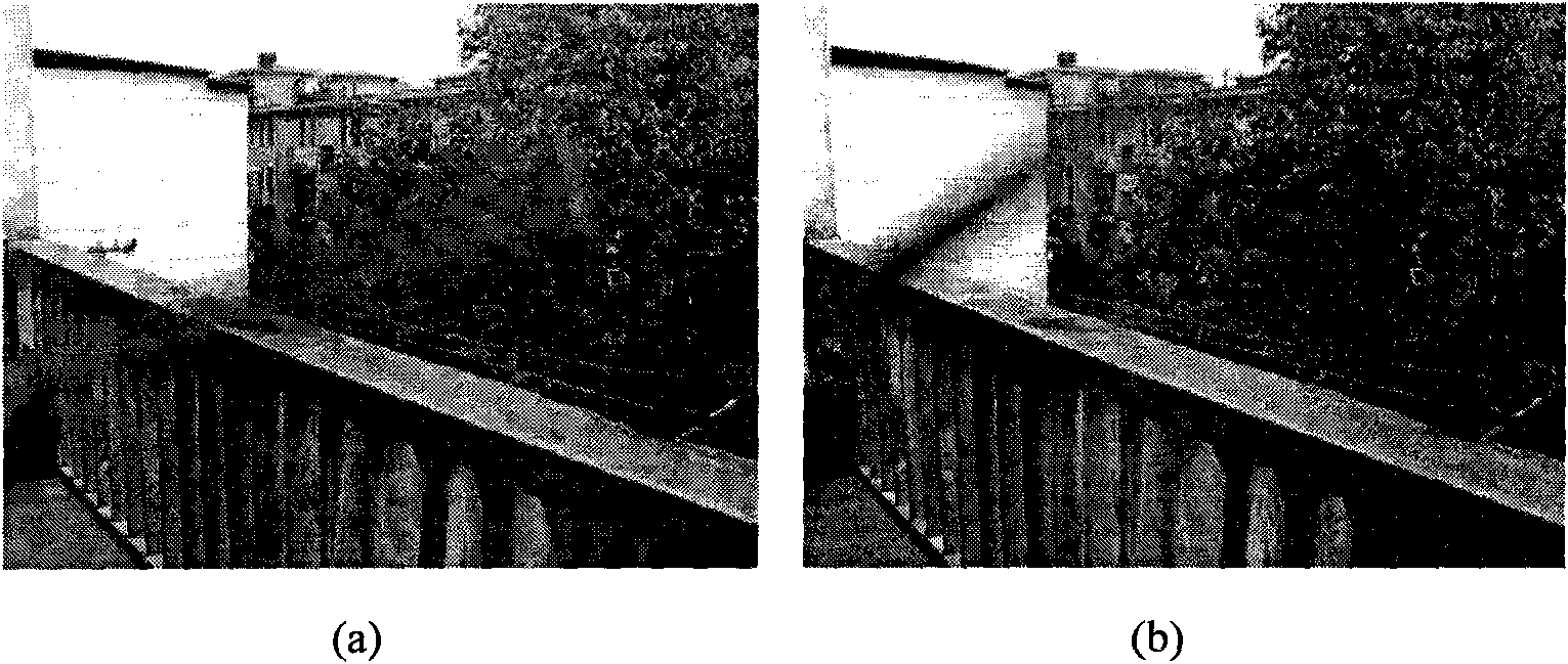 Method for compensating and enhancing dynamic shielded image in real time