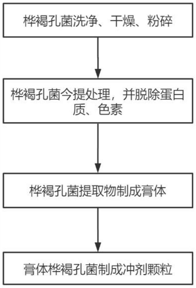 Inonotus obliquus granule beverage preparation method