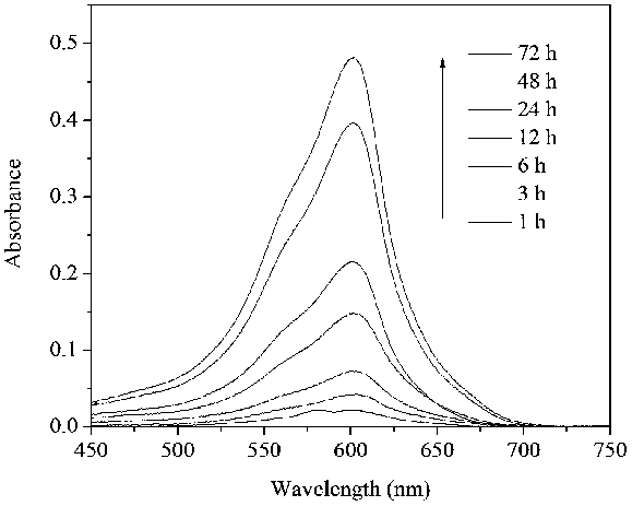 Preparation method of methylene blue-containing silica/shellac composite particles for releasing methylene blue aggregate