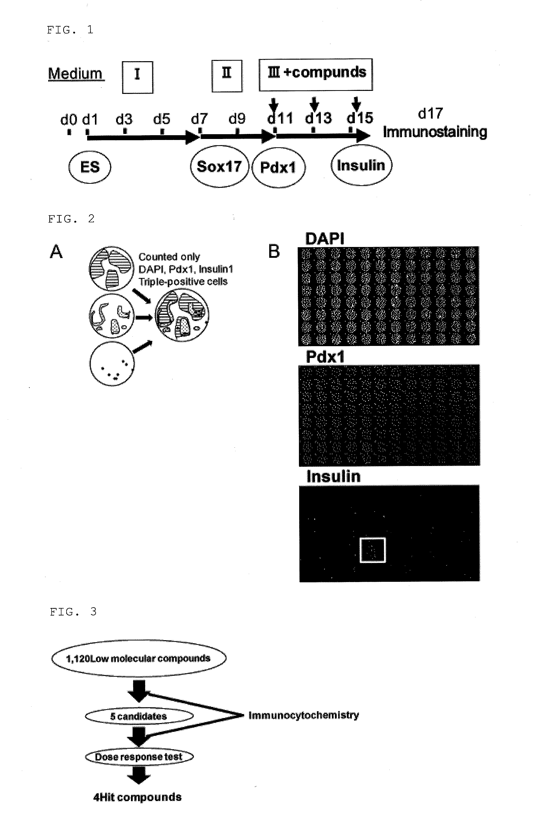 Small chemical compound which promotes induction of differentiation of stem cells into insulin-producing cells and method for inducing differentiation of stem cells into insulin-producing cells using said small chemical compound