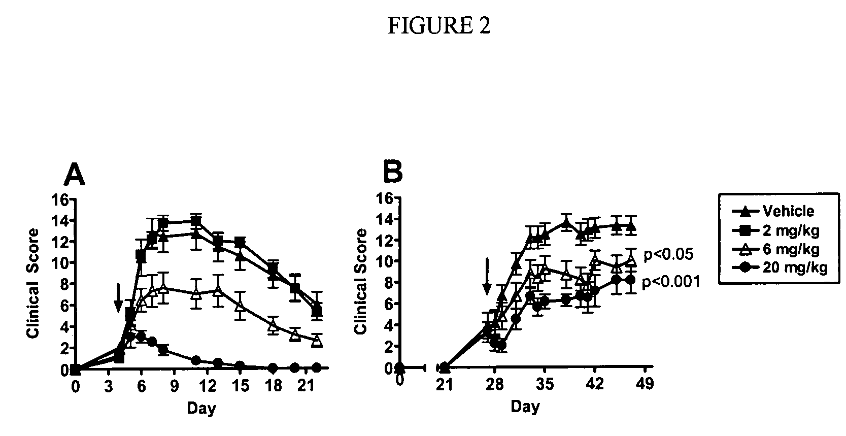 Compounds for enzyme inhibition