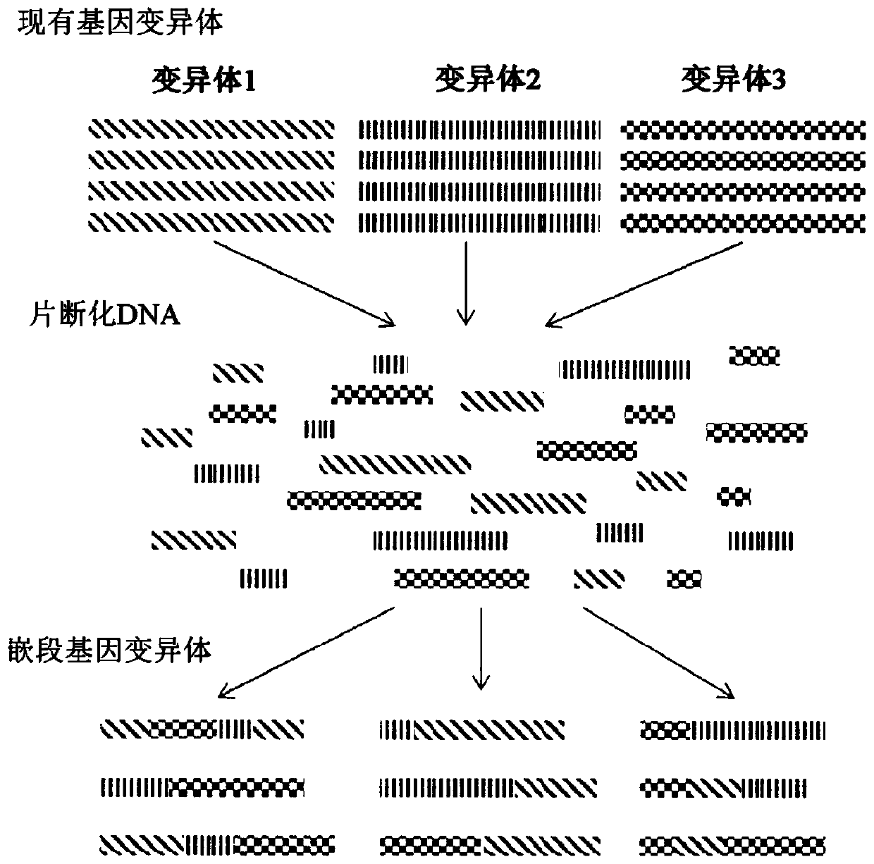 Improvement of microbial strains using the htp genome engineering platform