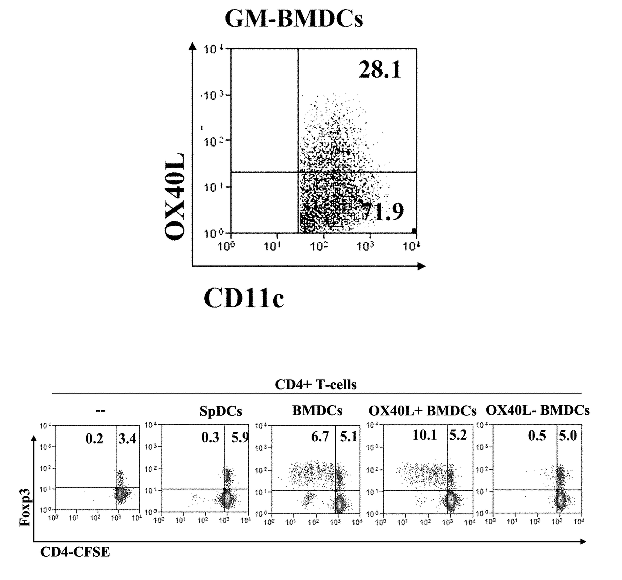 T-REG Cell Expansion