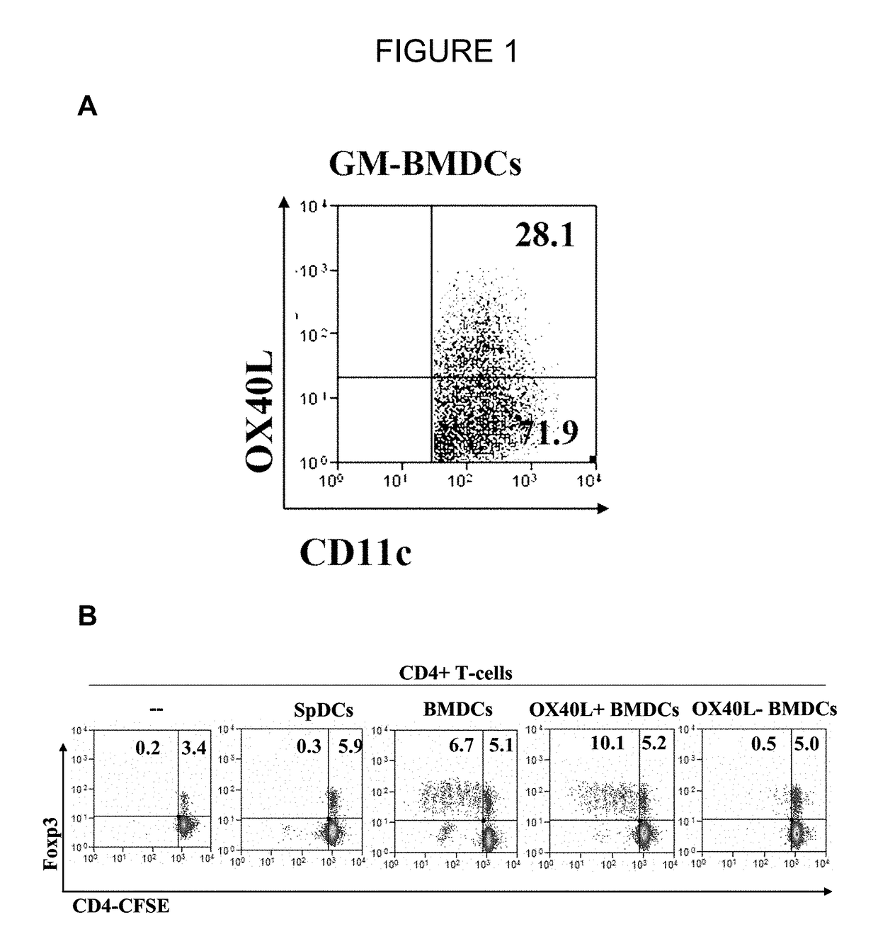 T-REG Cell Expansion