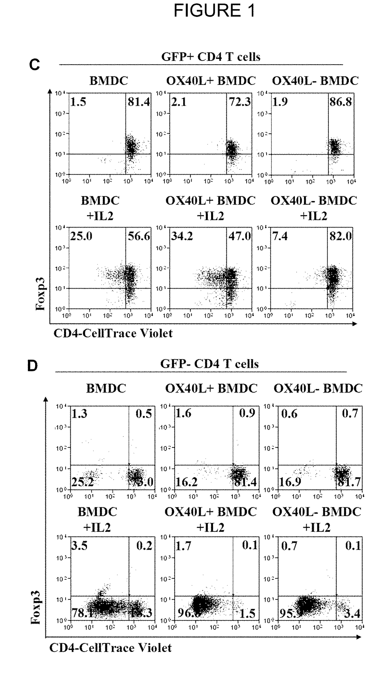 T-REG Cell Expansion