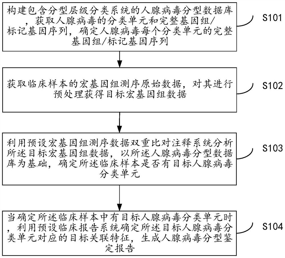 Metagenome-based human adenovirus molecular typing and tracing method and system