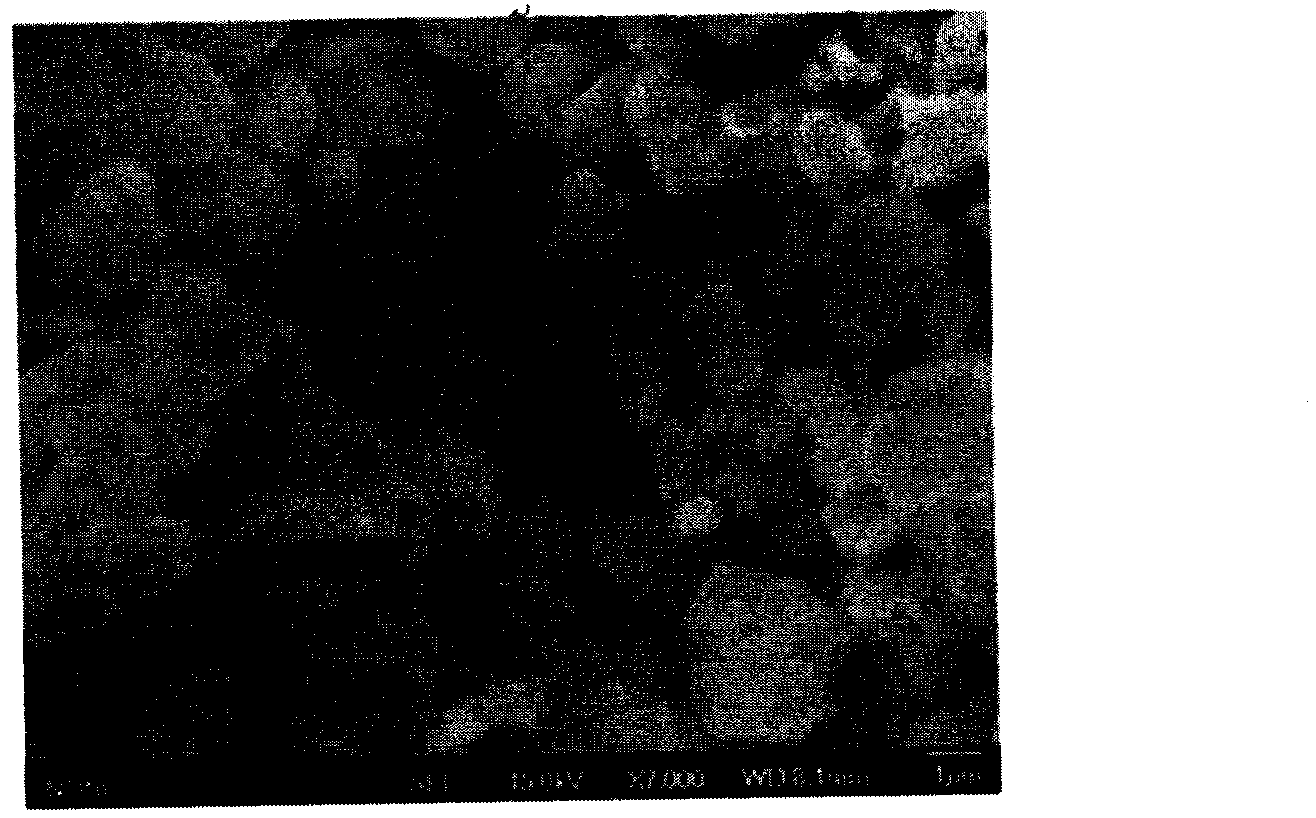 Preparation method and application of tungstate photocatalytic material