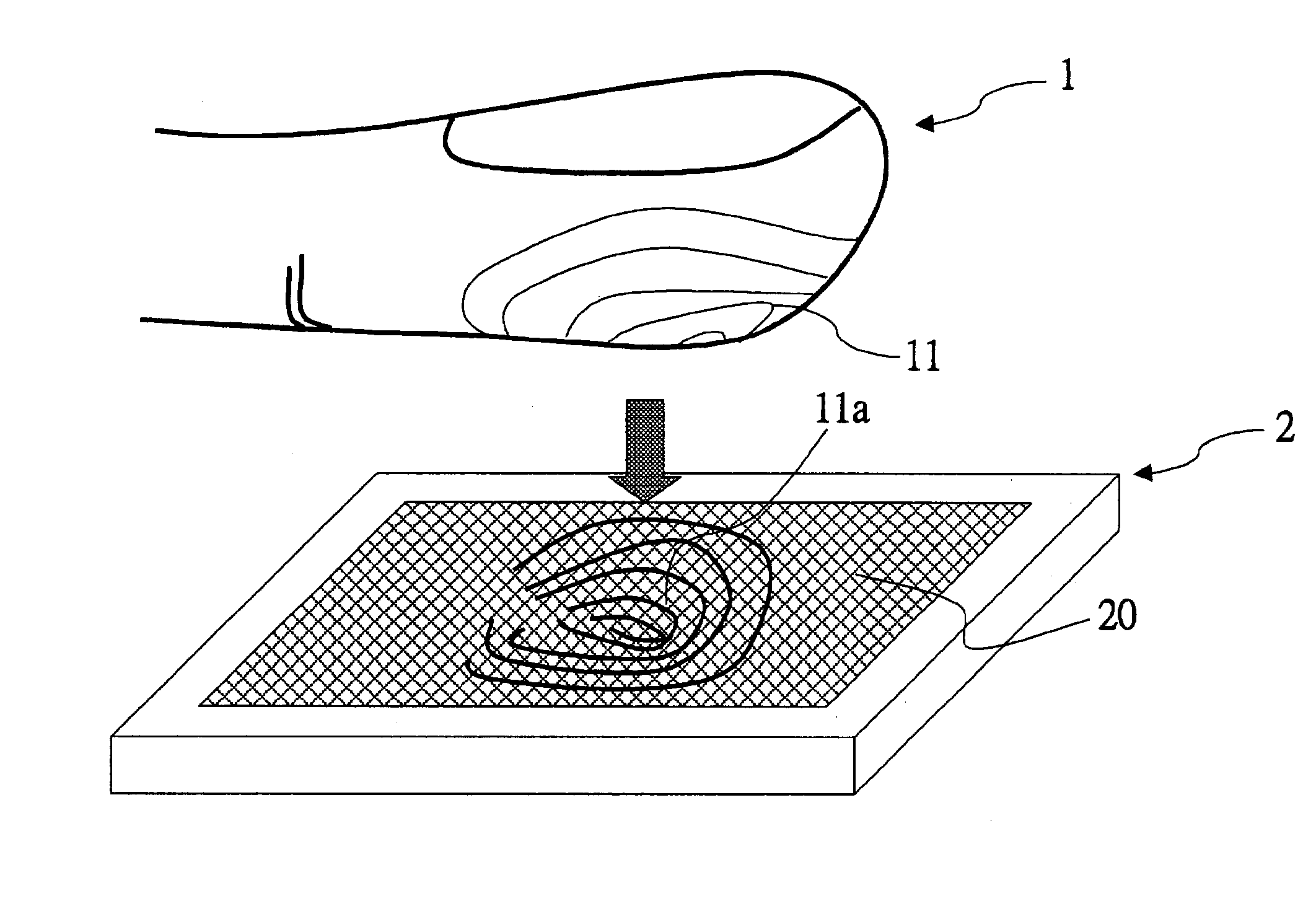 Capacitive fingerprint sensor