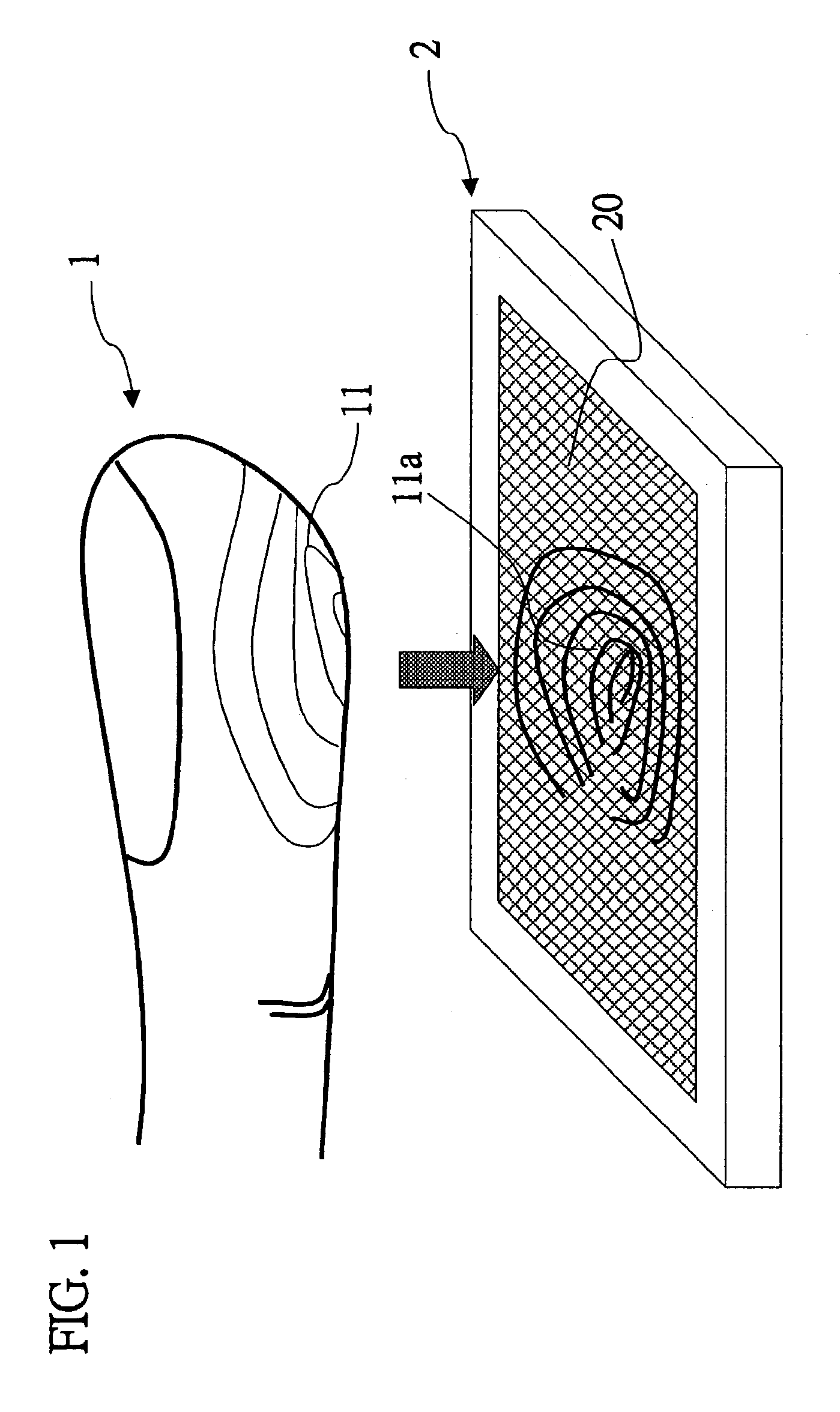 Capacitive fingerprint sensor