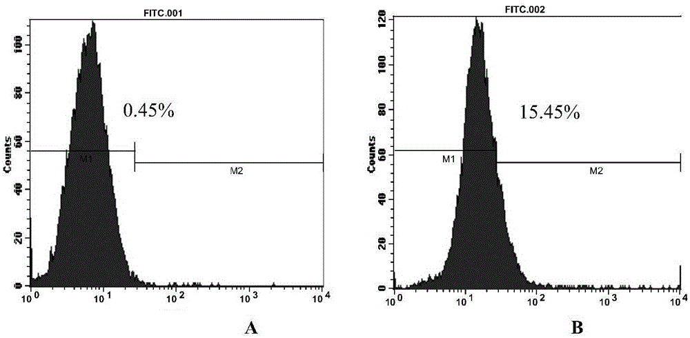 Dual-targeting fusion protein and encoding gene and application thereof