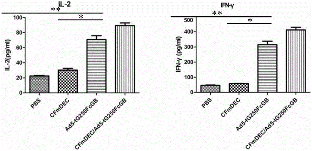 Dual-targeting fusion protein and encoding gene and application thereof