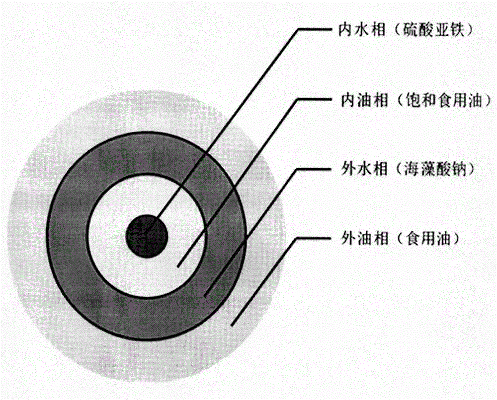 Nano-level ferrous sulfate nutritional supplement micro-capsule product and preparation process thereof