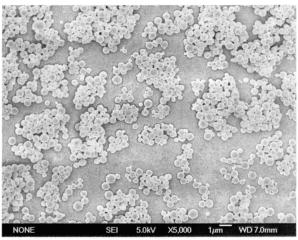 Nano-level ferrous sulfate nutritional supplement micro-capsule product and preparation process thereof