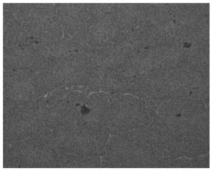 Preparing method of AgSnO electric contact materials with uniform tissues