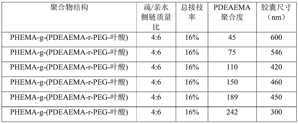 Amphiphilic binary molecular brush polymer and acid-sensitive targeting nanocapsule prepared from same