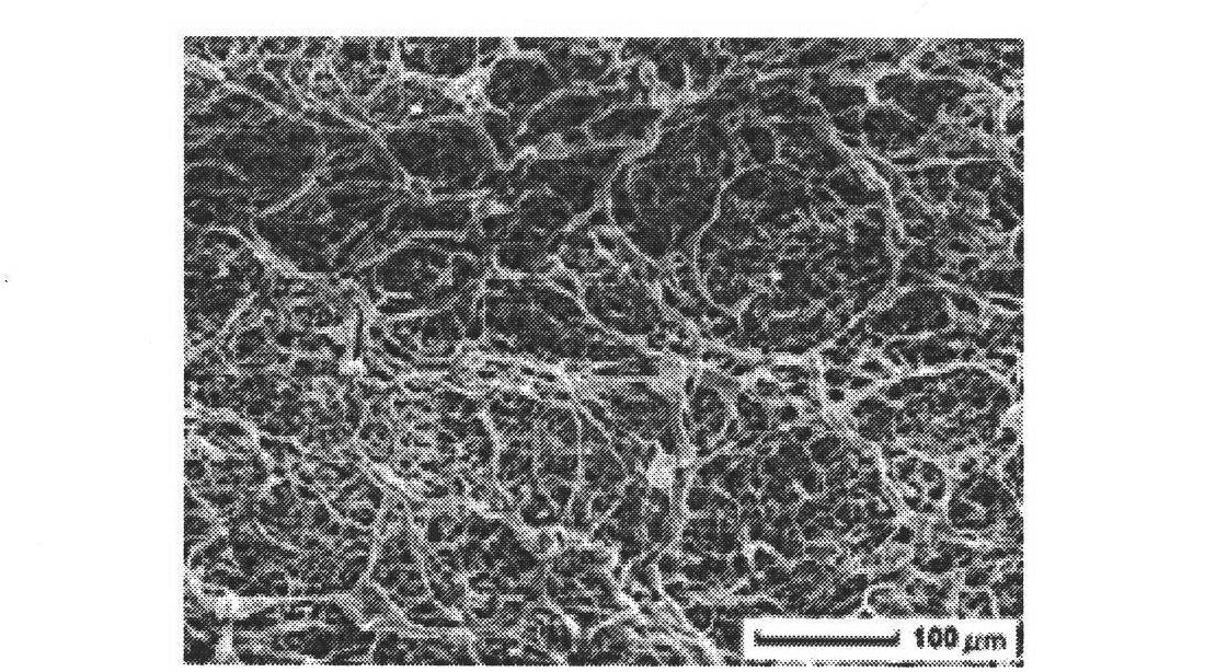 Three-dimensional nano stent of gene delivery system, preparation method and application thereof