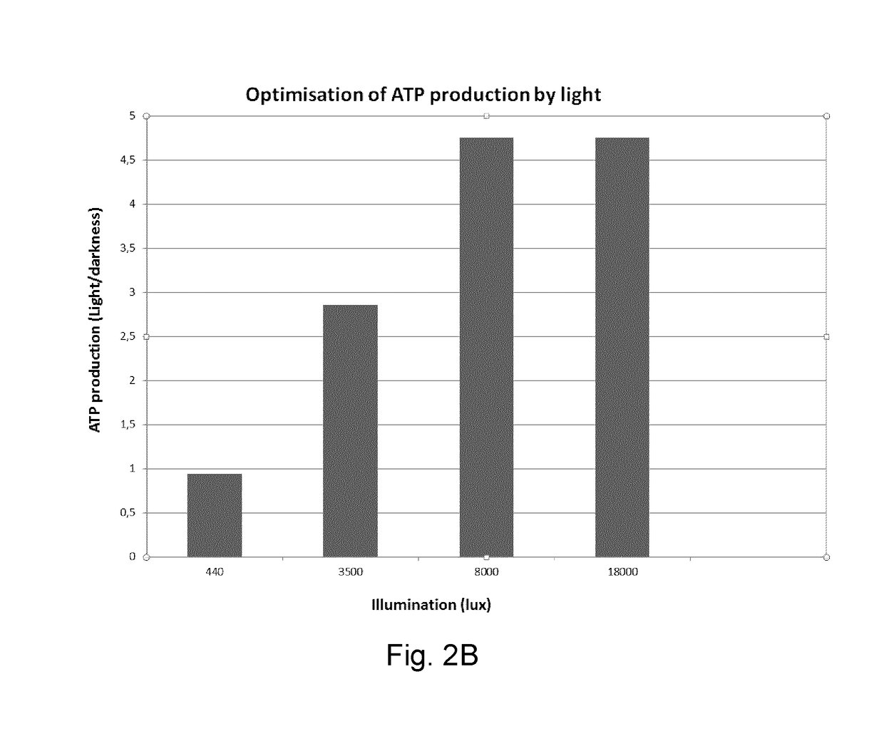 Composition for energy supplementation