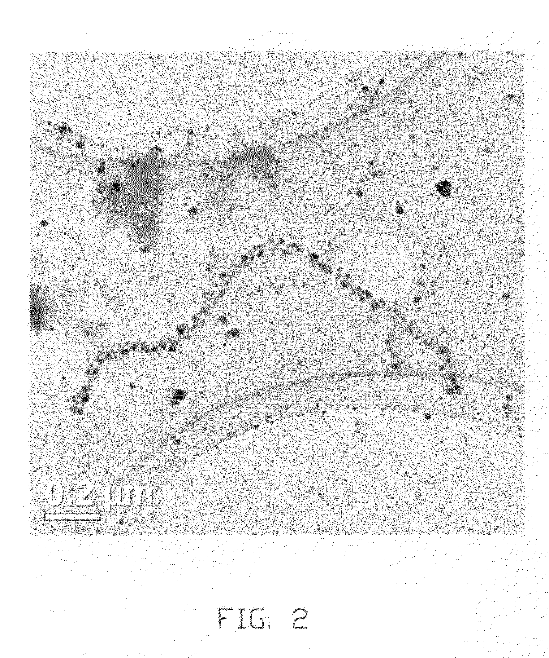 Carbon nanotube metal nanoparticle composite and method for making the same