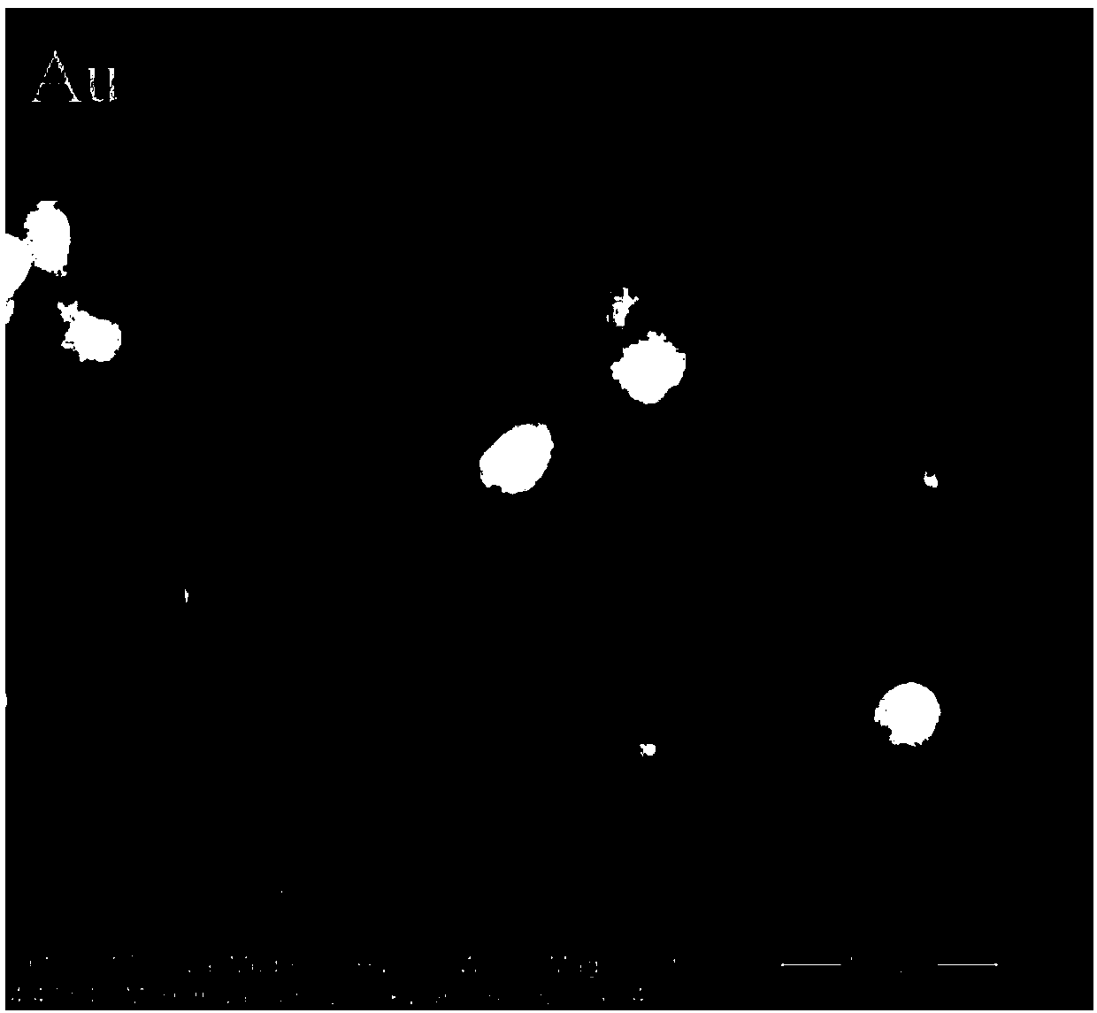 Magnetically-responsive loaded Janus hierarchical-pore SiO2 composite microspheres and preparation method thereof