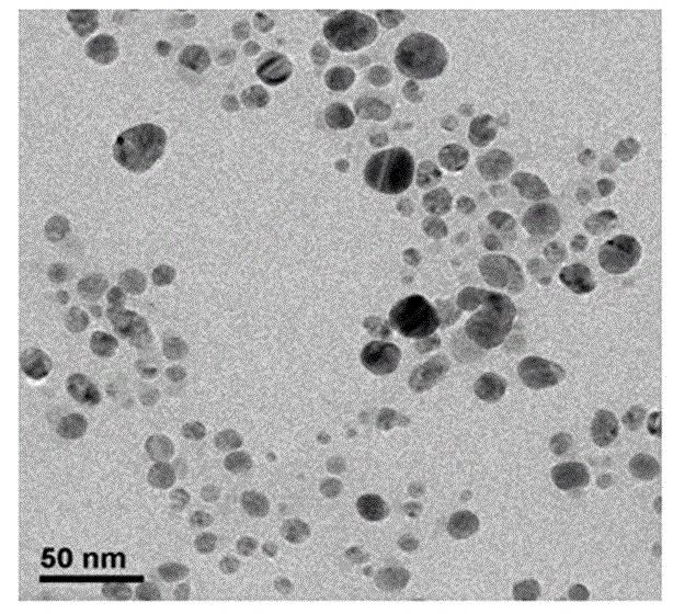 Method for preparing nano-silver hydrosol by using plant extract