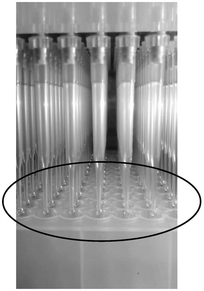 Detection method of 17-hydroxyprogesterone and androstenedione