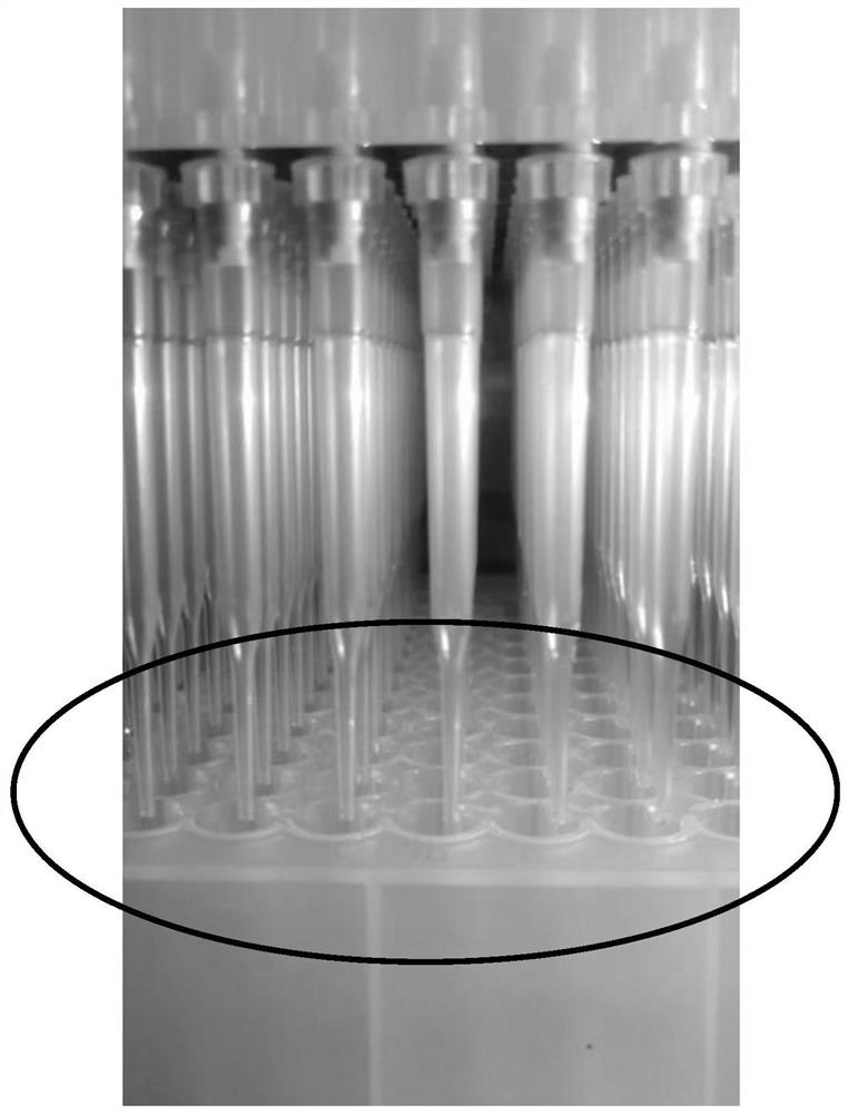 Detection method of 17-hydroxyprogesterone and androstenedione