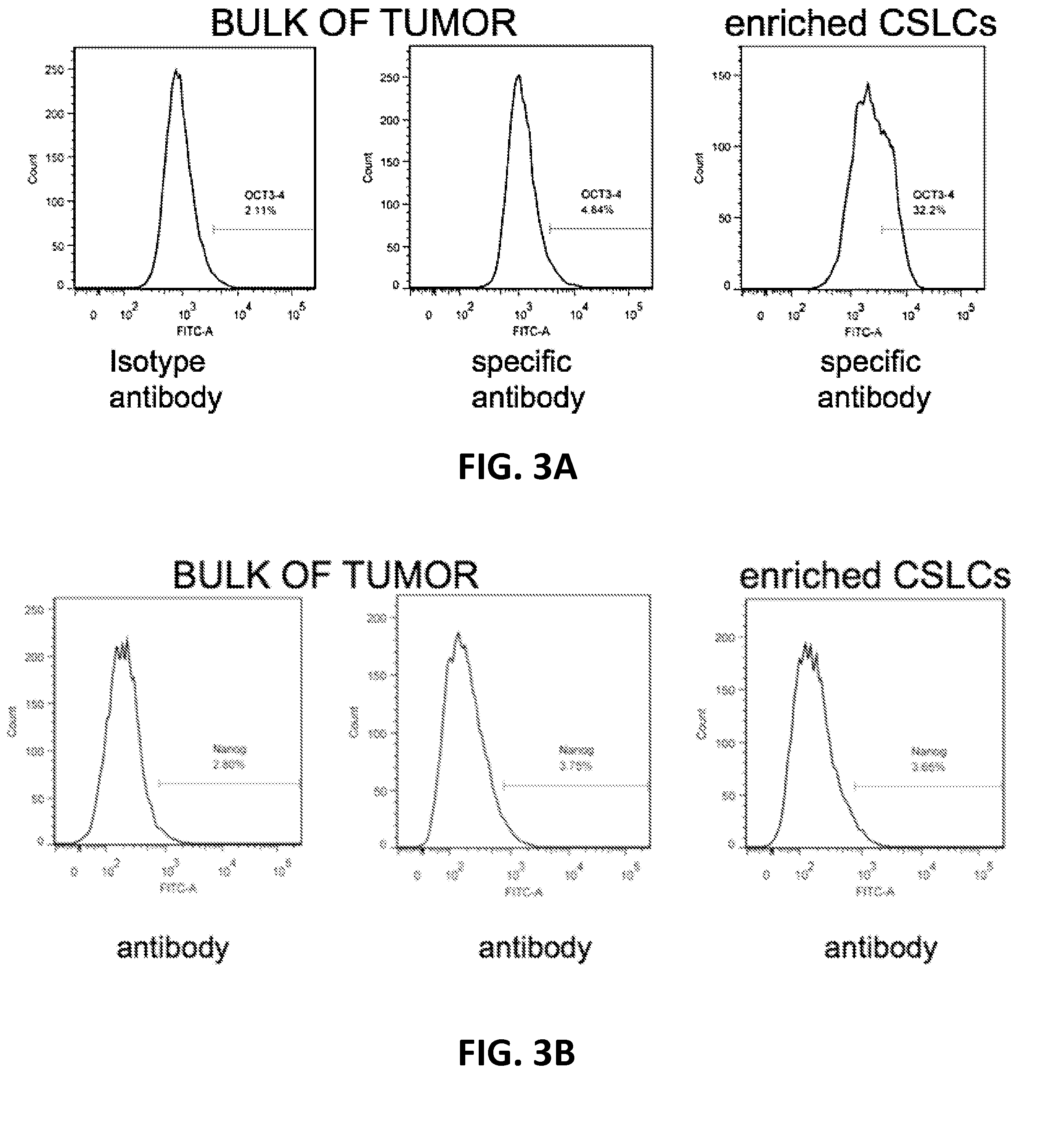 Methods of screening chemotherapeutic agents and treating cancer