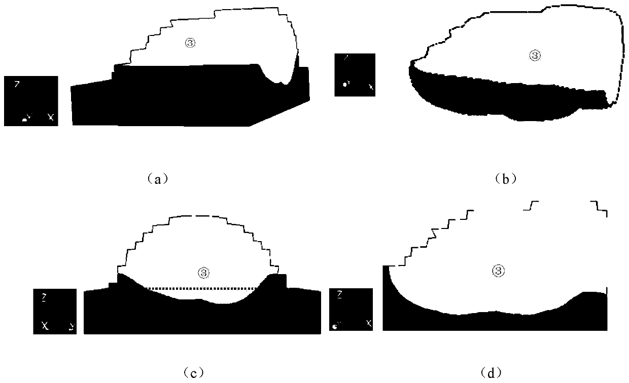 Grain structure numerical prediction method in metal rapid prototyping process