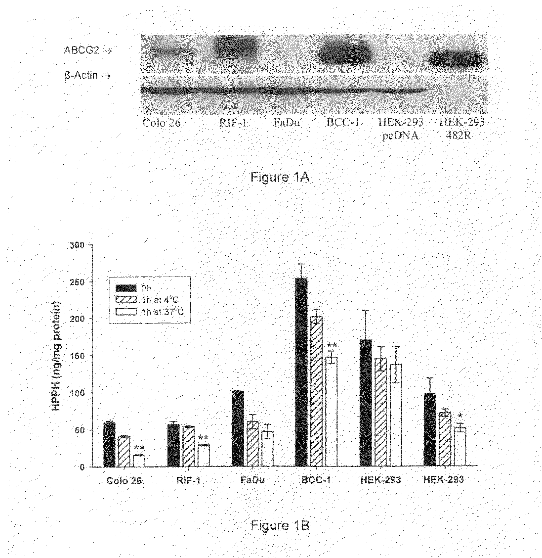 Method for Enhancing Pdt Efficacy Using a Tyrosine Kinase Inhibitor