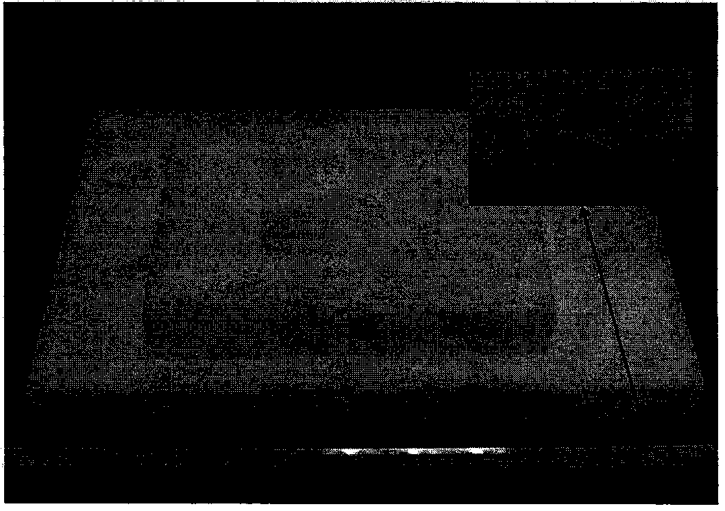 Preparation method of super-hydrophobic, super-oleophylic and ultralight sponge