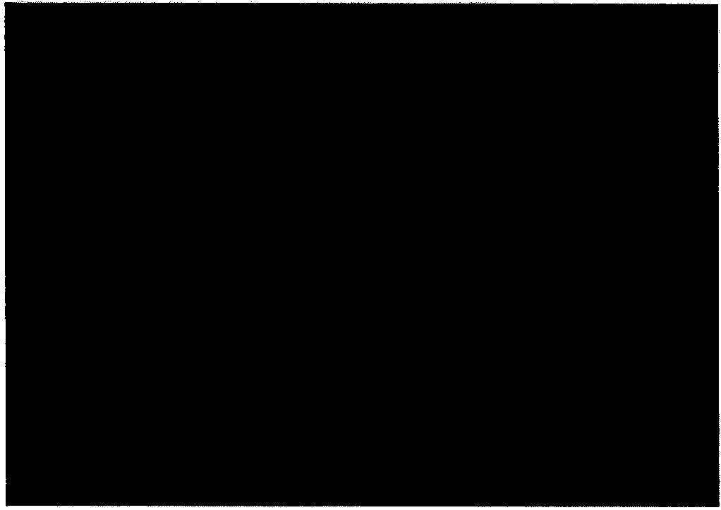 Preparation method of super-hydrophobic, super-oleophylic and ultralight sponge