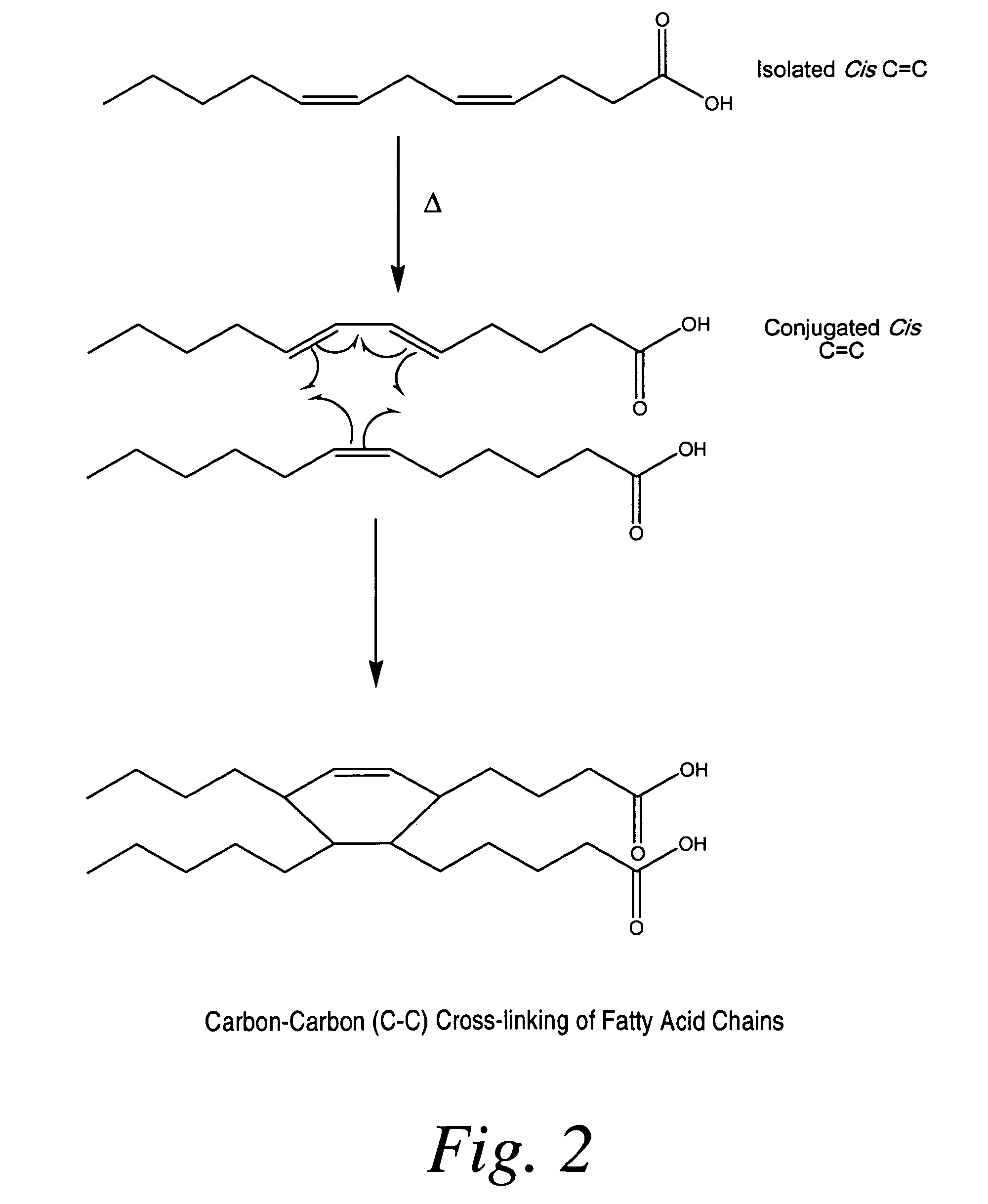 Cross-linked fatty acid-based biomaterials