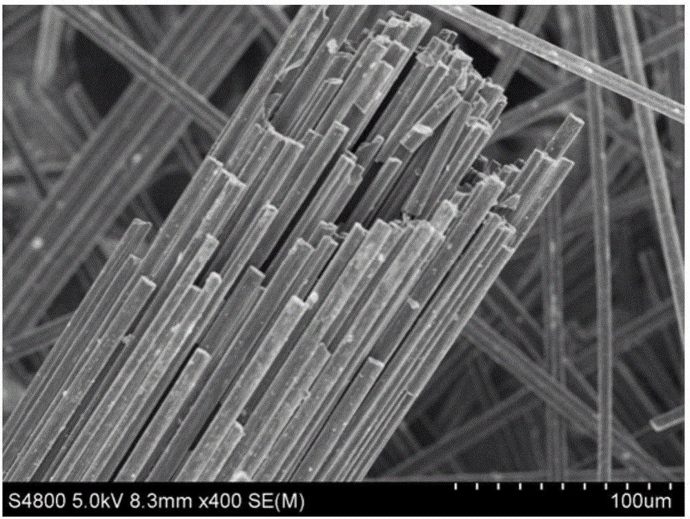 Preparation method for cold plasma nitrogen-doped carbon fibers