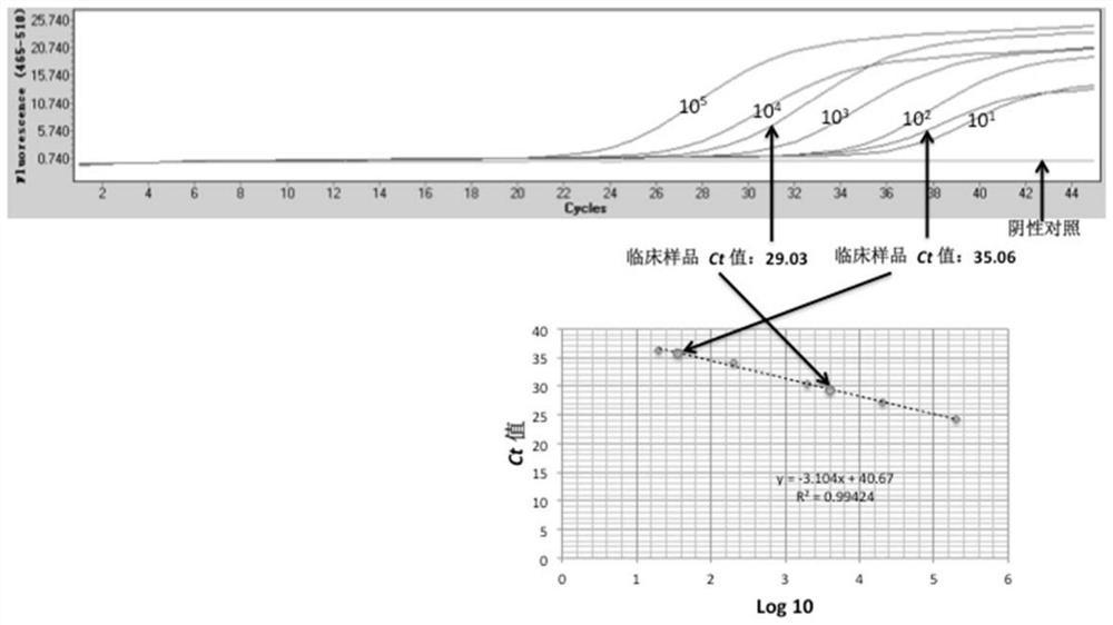 Real-time quantitative PCR detection kit for herpes simplex virus type 1